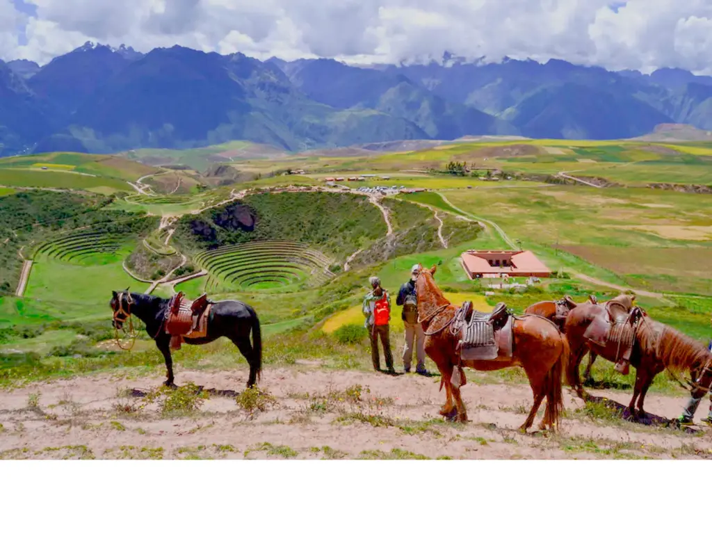 Horseback Riding Maras Moray 1 Day