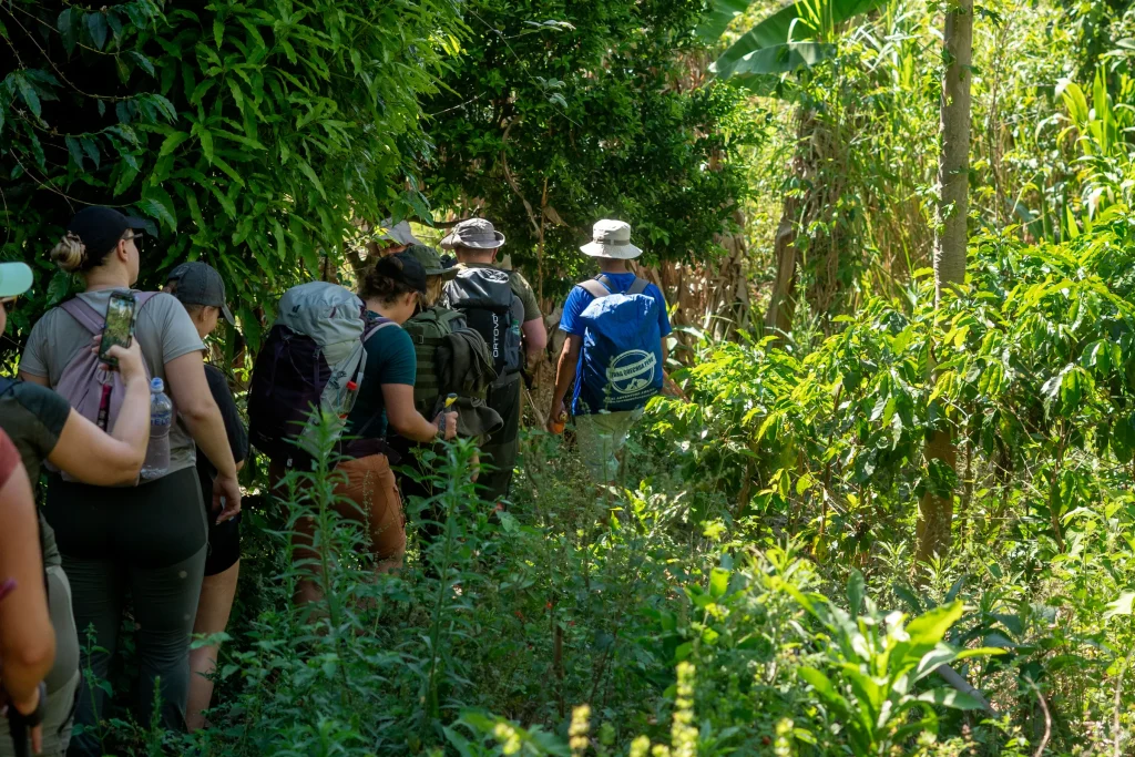 Group of hikers walking a jungle trail on the Inca Jungle trek