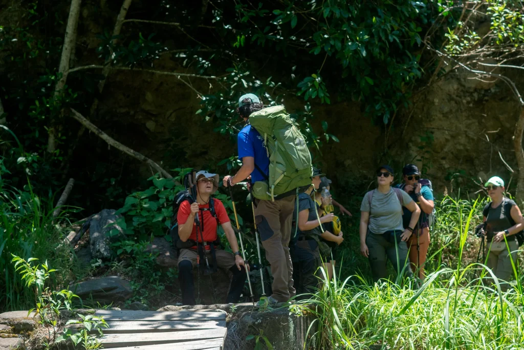 Guide and hikers with trekking poles gathered by a wooden footbridge in the forest on the Inca Jungle trek