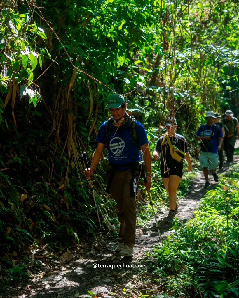 Guide leading hikers on a path through dense jungle on the Inca Jungle trek