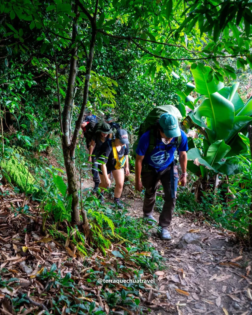 Hikers walking through tropical vegetation and banana leaves on the Inca Jungle trek