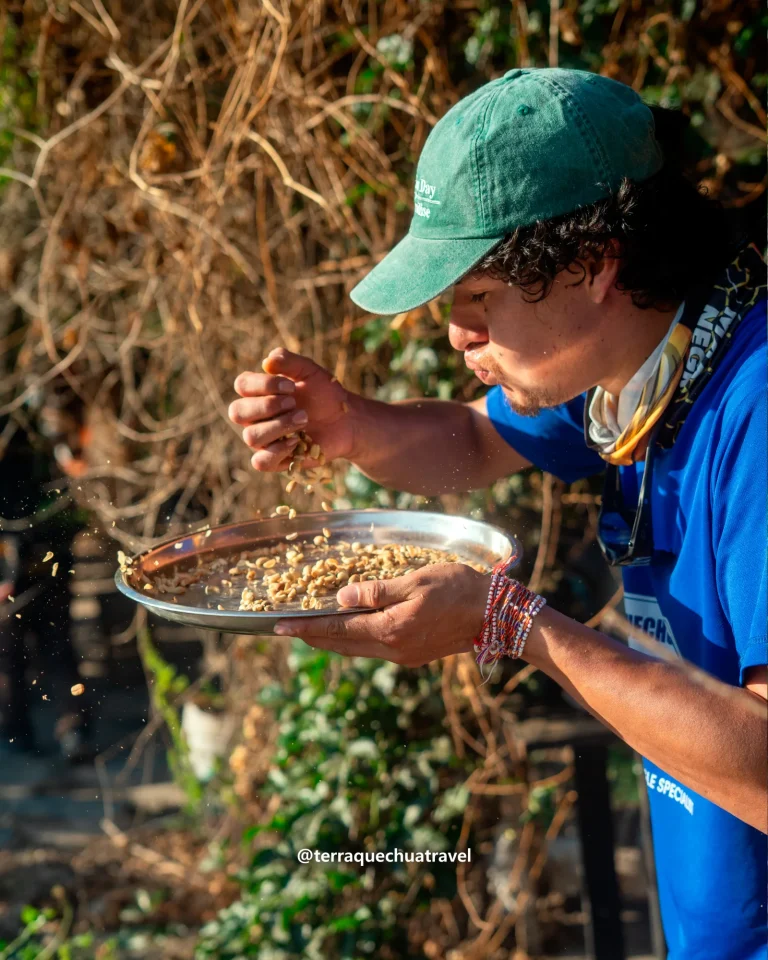 Guide blowing the husks off coffee beans on a metal tray on the Inca Jungle trek
