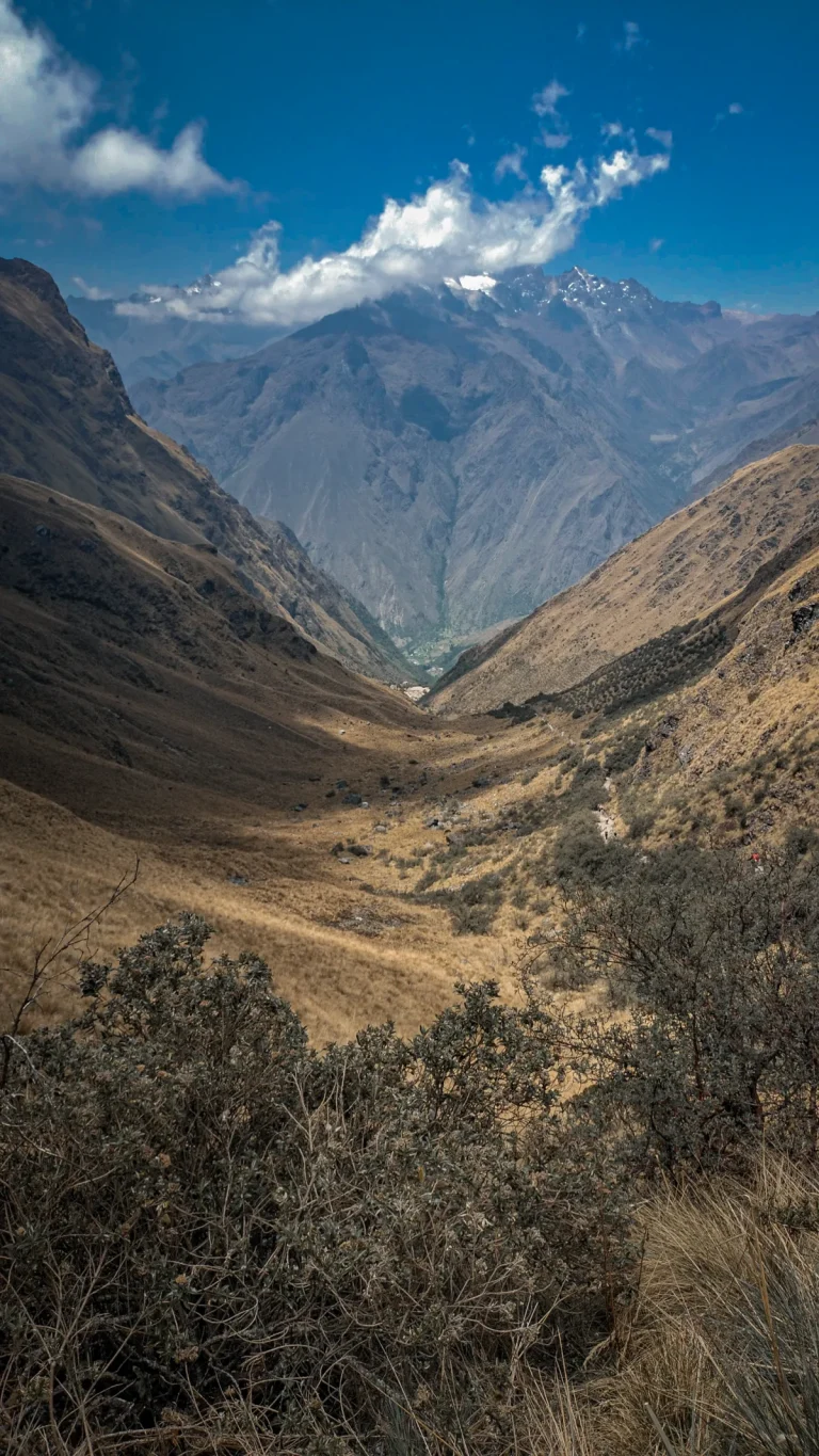 Dry Andean valley under a snowy summit seen from the Inca Trail