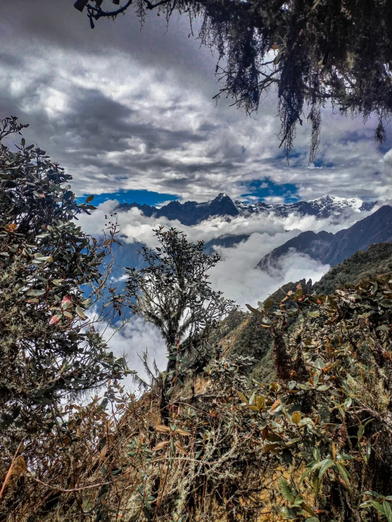 Inca Trail in September 2027: The Best Balance of Weather and Crowds 2 View over a sea of clouds to the snowy Andes from the cloud forest on the Inca Trail