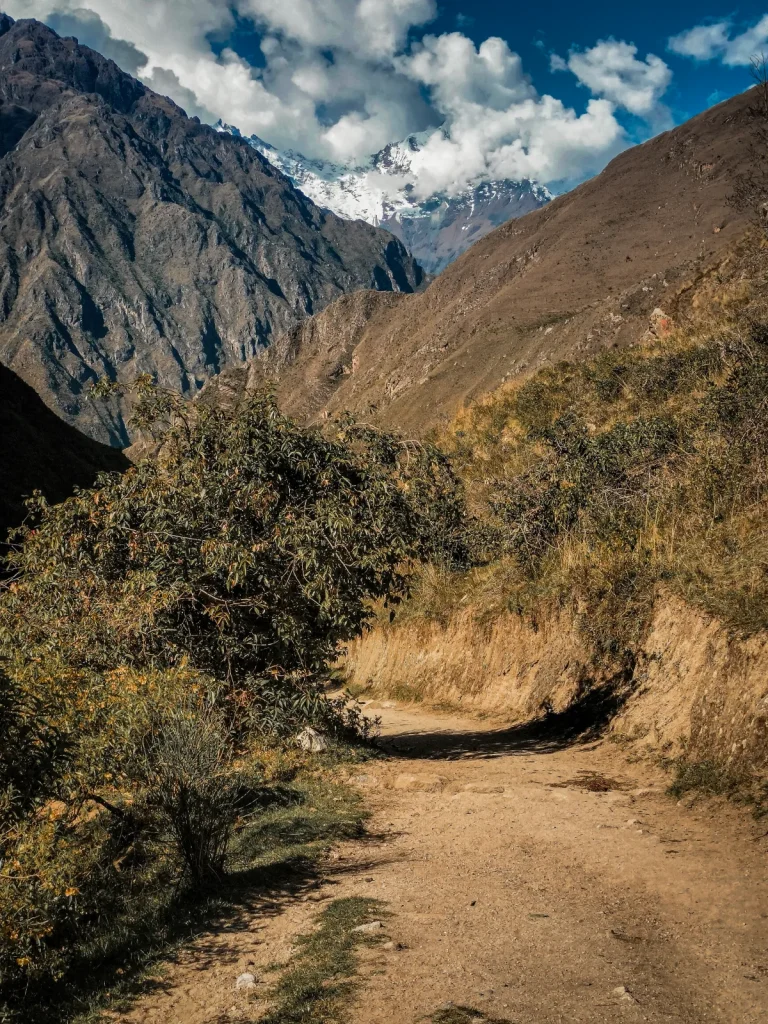 Inca Trail path through shrubs with a snow-capped peak behind