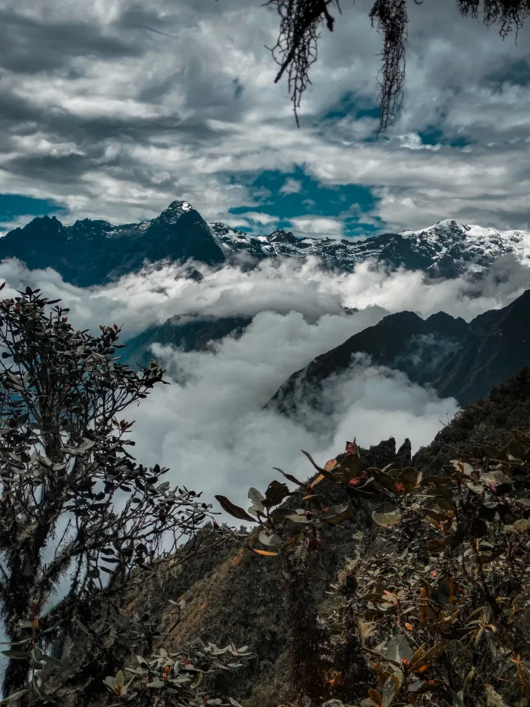 The Inca Trail in the Rainy Season (and Why It Closes in February): Month by Month 1 Sea of clouds below snow-capped peaks seen through the trees on the Inca Trail