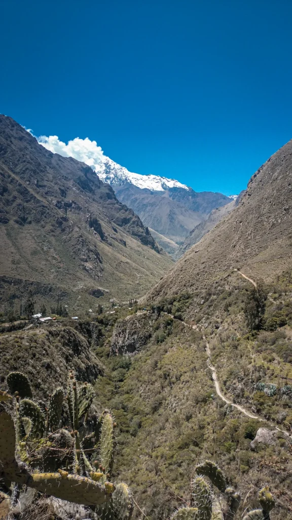 Inca Trail in August 2027: Weather, Wind, Holidays and When to Book 2 Andean valley with a snow-capped peak and cactus beside the path on the Inca Trail