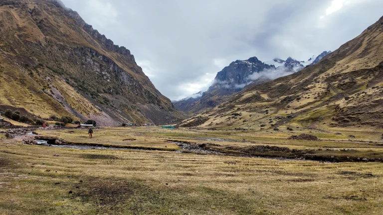 Morning in a wide grassy valley with snow peaks on the Lares trek