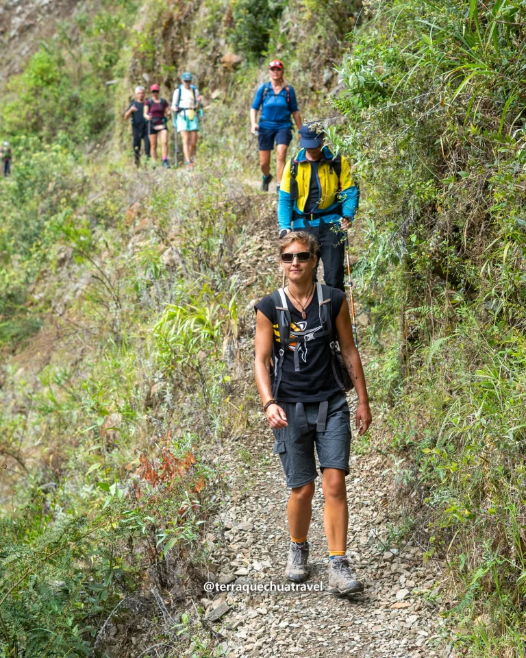 Hikers walking a green cloud-forest trail on the Salkantay trek