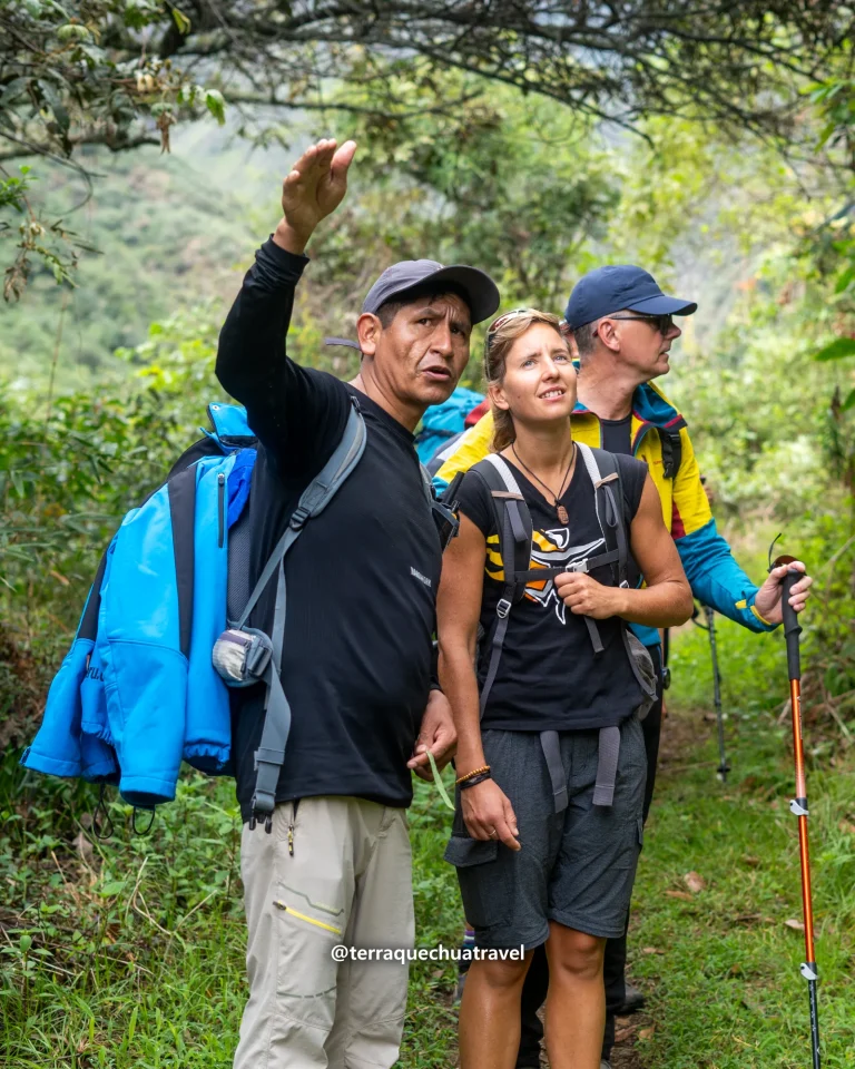 Guide pointing out nature to hikers in the cloud forest on the Salkantay trek
