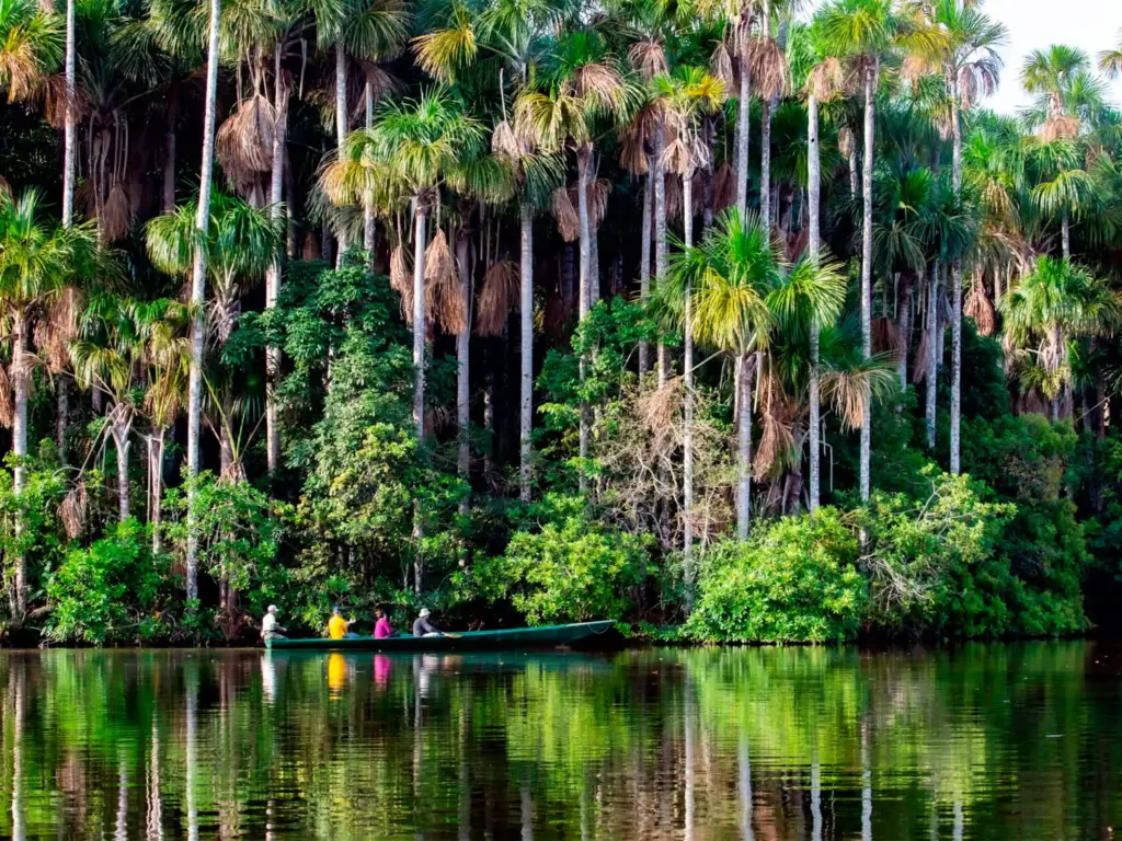Puerto Maldonado Tambopata Macaws Clay Lick 5 Days / 4 Nights