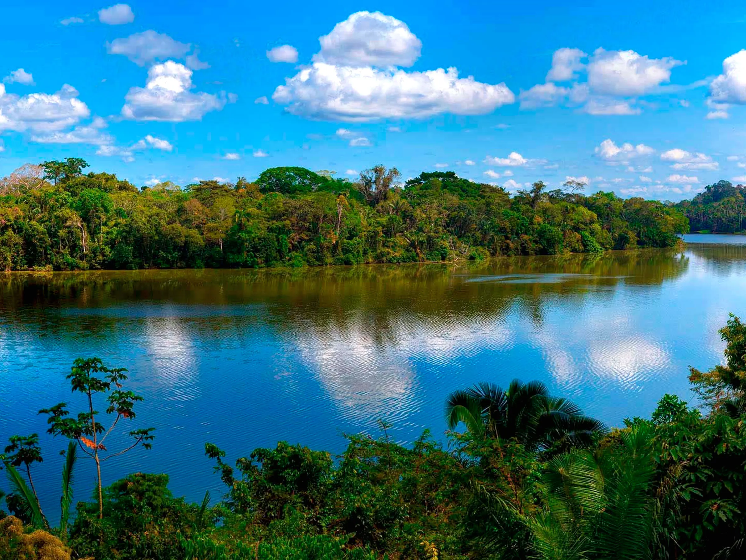 Puerto Maldonado-Tambopata 3 Días / 2 Noches